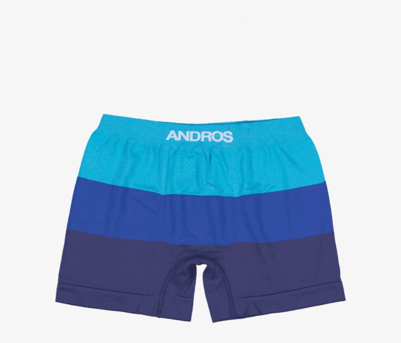 Board Short 640x961 PNG Download PNGkit