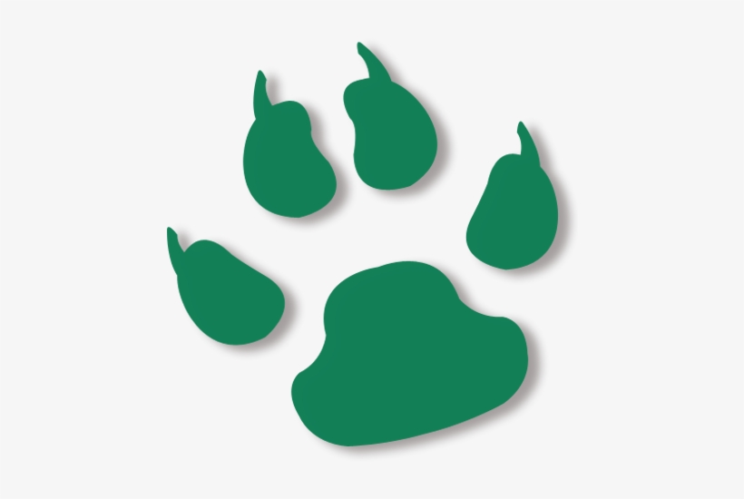 Lion Footprint Vector, transparent png