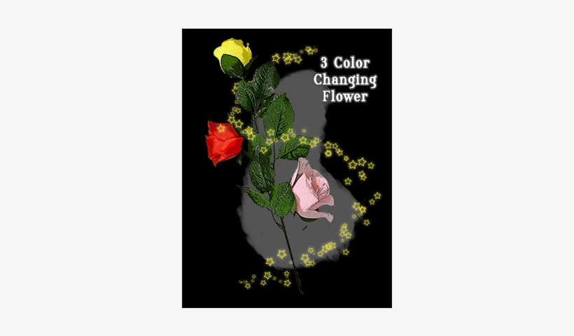 Three Color Changing Floating Flower By Jl Magic, transparent png