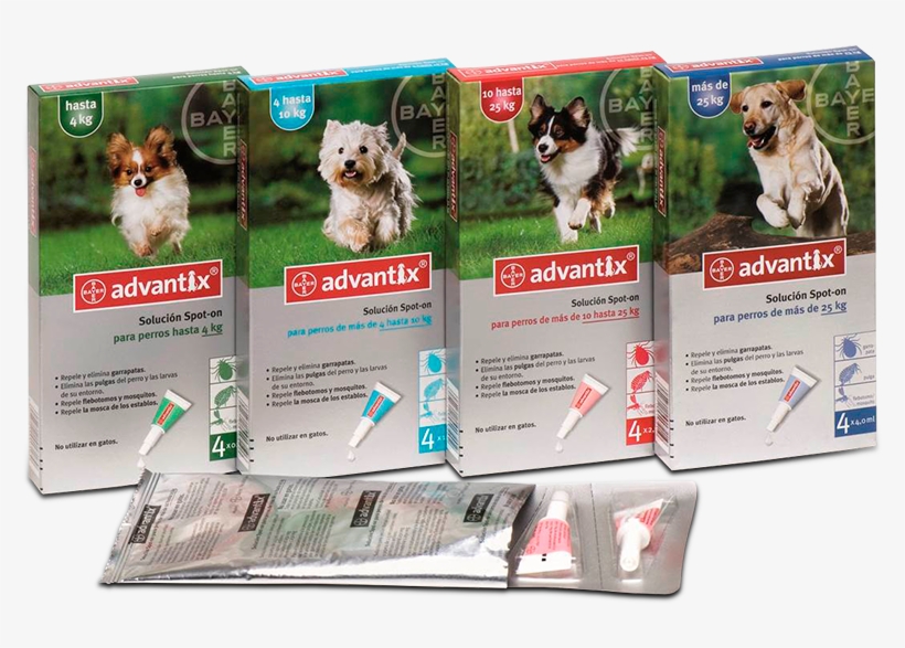 ¿cómo Saber Si Tu Perro Se Está Mareando - Advantix Very Small Dog Until 4 Kg 4 Pipettes, transparent png