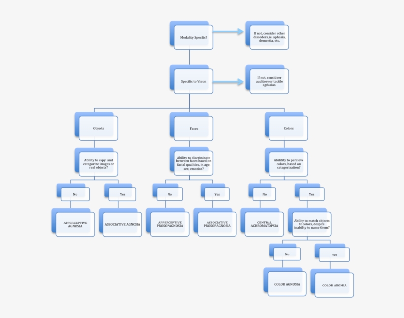 Flowchart For Assessment Of Visual Agnosias - Agnosia, transparent png
