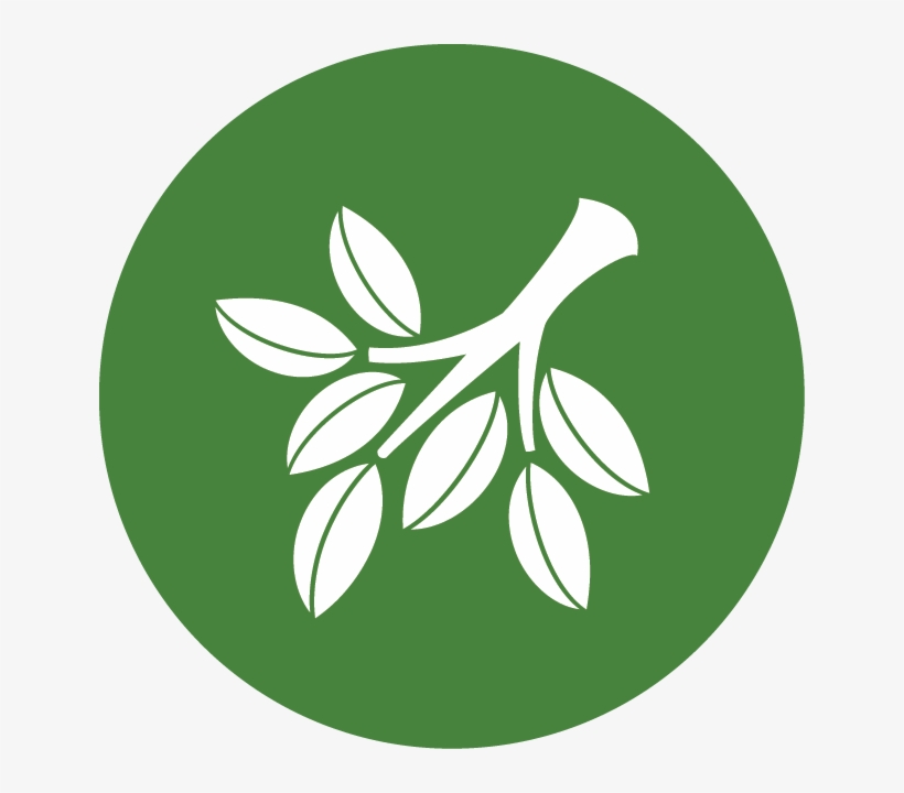 Conservation-csp - North Carolina, transparent png