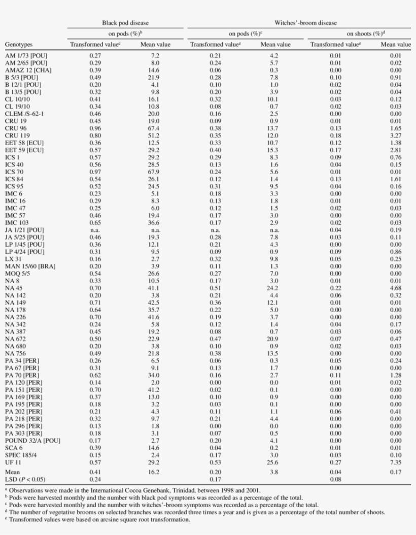 Expression Of Black Pod And Witches'-broom Diseases - Monochrome, transparent png