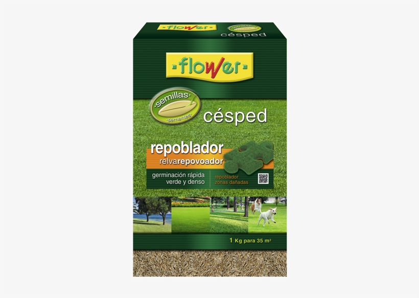 Semillas Césped Repoblador - Flower 10787 Fort Lawn Seed Litoral 1 Kg, transparent png