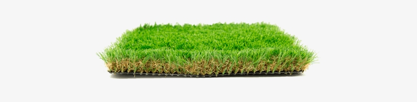 Garden, transparent png