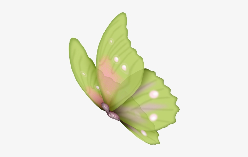 Sapos, Corazones, Mariposas, Marcos, Césped, Nube, - Frames Png De Libelulas, transparent png