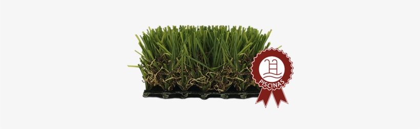 Césped Artificial Oasis 25mm Especialmente Indicado - Artificial Turf, transparent png
