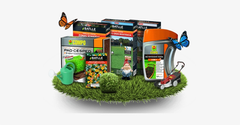 Batlle Great Resistance Compact Grass Seeds, transparent png