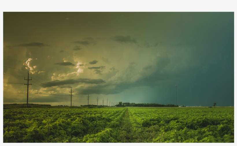 Score 50% - Woman In White By Wilkie Collins 9781537485041 (paperback), transparent png