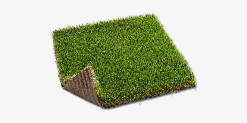 Productos Relacionados - - Lawn, transparent png