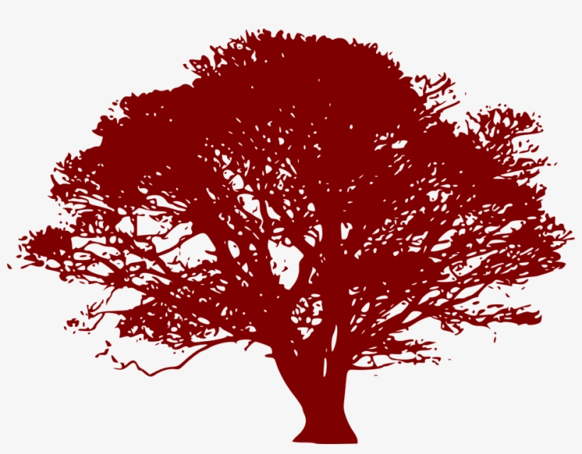 Arbol Rojo Png - Tree Silhouette Green, transparent png