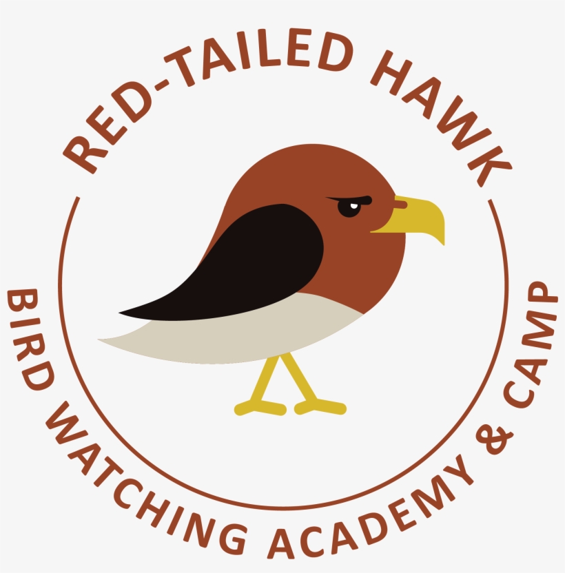 Red-tailed Hawk - Camba Imperial Ipa, transparent png