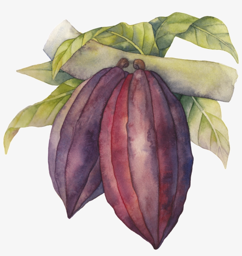 Árbol Resultado Png Transparente - Portable Network Graphics, transparent png