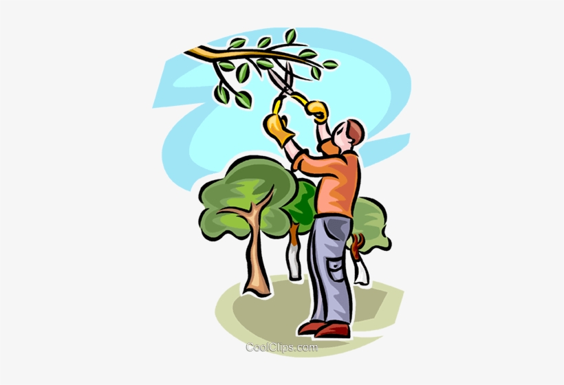 El Hombre La Poda De Un Árbol Libres De Derechos Ilustraciones - Pruning, transparent png
