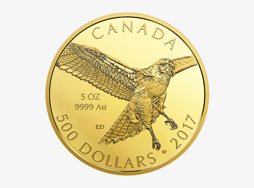 Pure Gold Coin - Ounce, transparent png