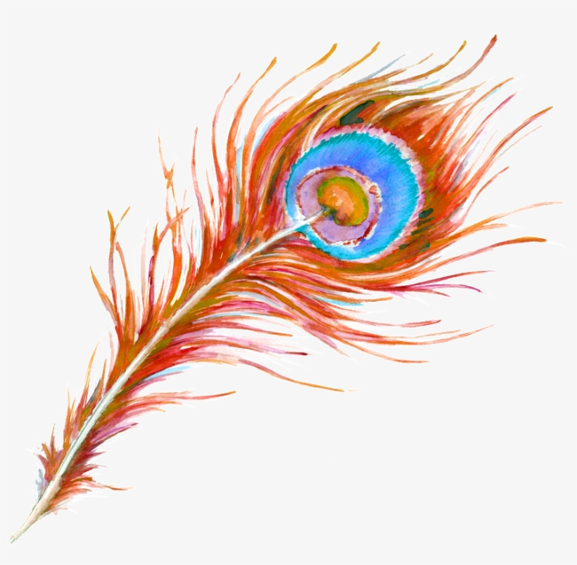 Beautiful Hand Painted Peacock Feathers Hd Png - Peafowl, transparent png