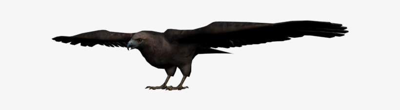 Halcón - Bat Red Dead Redemption, transparent png