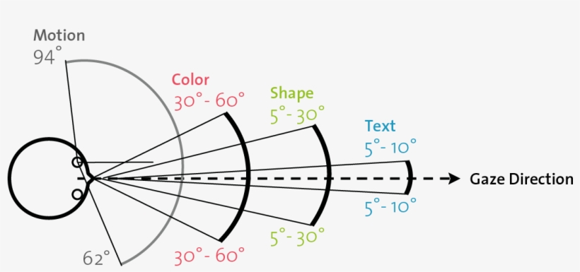 Visual Perception Human Fov - Visual Perception, transparent png