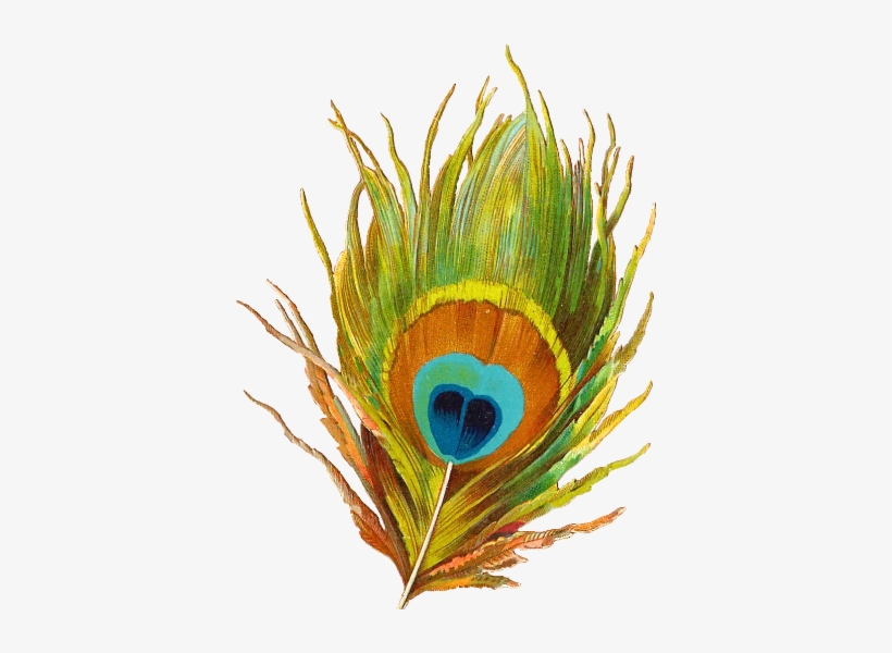 Манекен Ретро Рисунок На Прозрачном Фоне - Feather, transparent png