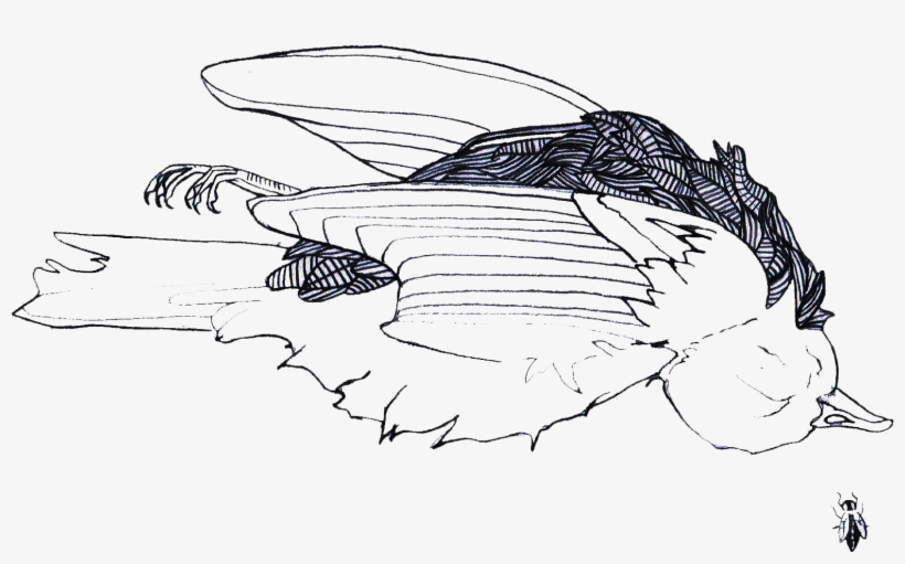 To Be Continued - Drawing, transparent png