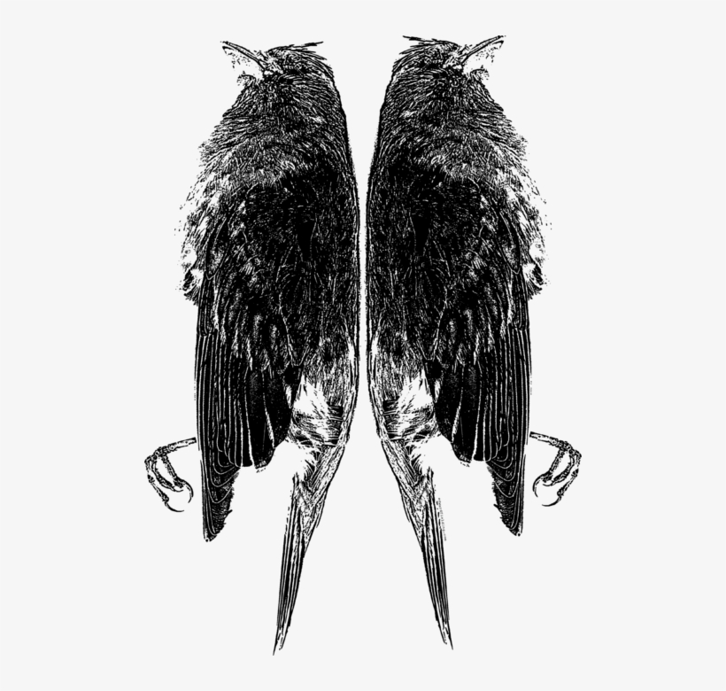 Click And Drag To Re-position The Image, If Desired - Sketch, transparent png