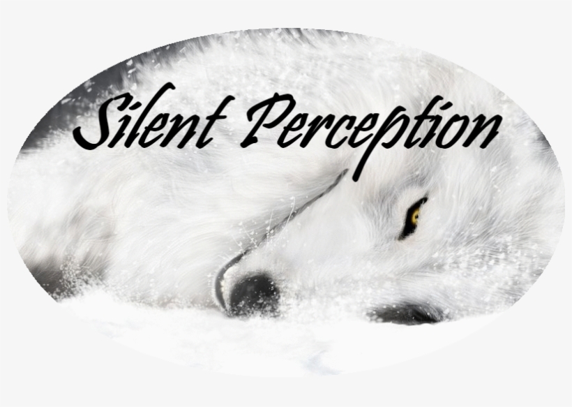 Silent Perception - 4k Wallpaper White Wolf, transparent png