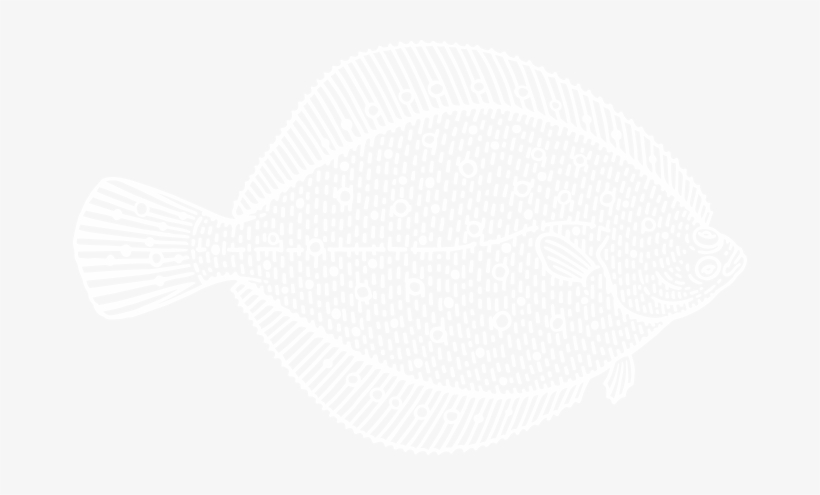 Fish Illustration - Illustration, transparent png