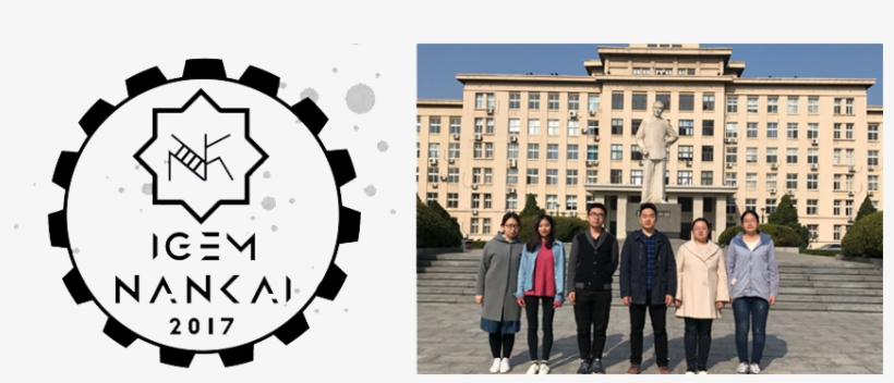 Collaboration With Nku China - Nankai University, transparent png