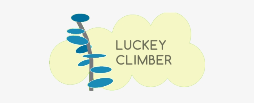 Lukey Climber - Children's Museum Of Alamance County, transparent png