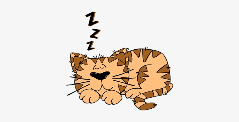 Cat Sleeping Cute Kitten Sleepy Asleep Fel - Cat Sleeping Clipart, transparent png