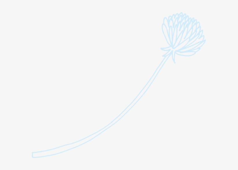 Afterparty Drawn Flower - Drawing, transparent png