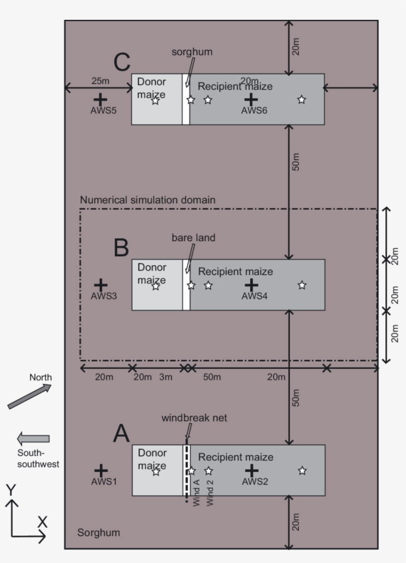 Arrangement Of The Experimental Cornfield - Diagram, transparent png