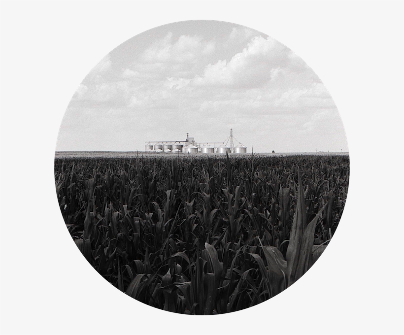 Distant Cornfield Silos - Circle, transparent png