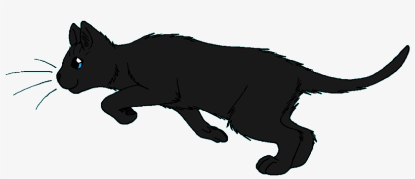 Ravenwing - Warrior Cats Rooktail, transparent png