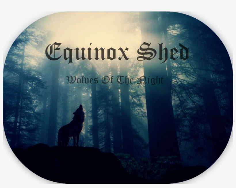 Equinoxshed Banner,,, transparent png