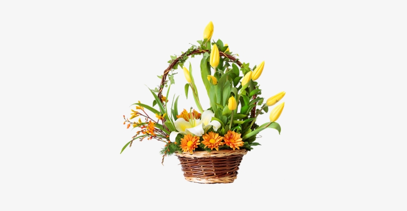 Codigo Tl16 S/ - Bouquet, transparent png