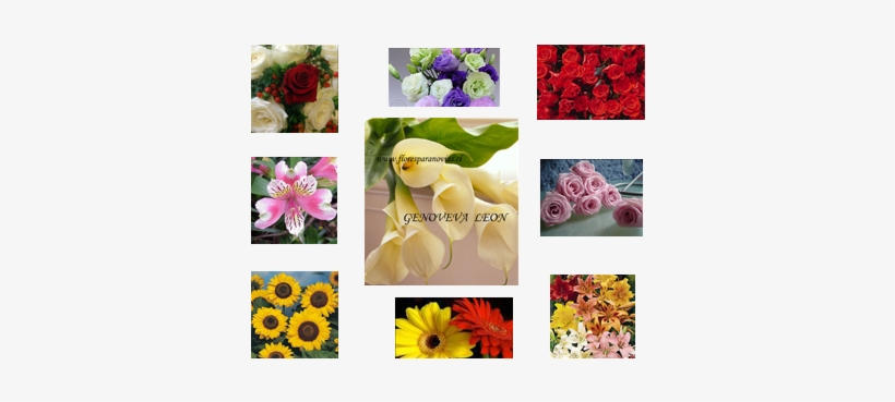 Flores Para Novias, Ramos De Novia, Iglesias, Arreglos - Graines De Tournesol Prado Yellow, transparent png