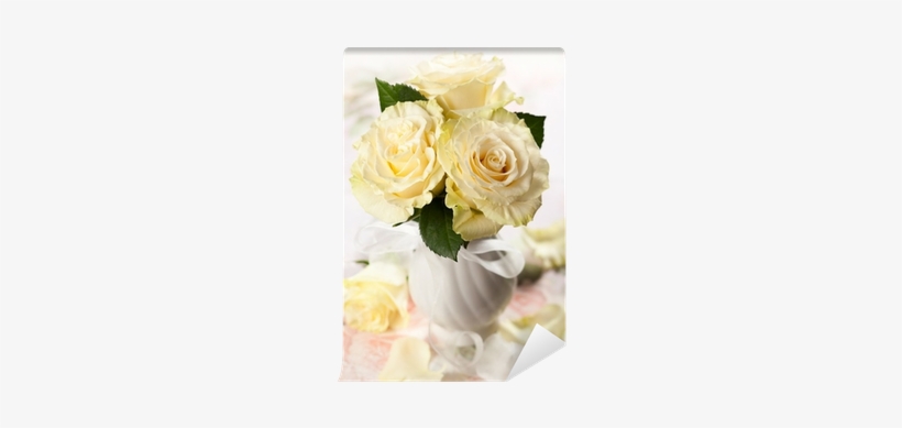 Rose, transparent png