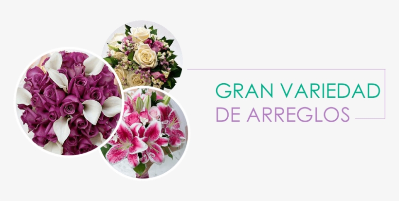 Floristerías En Garzón, Le Entrega Las Mejores Floristerías - Bouquet, transparent png