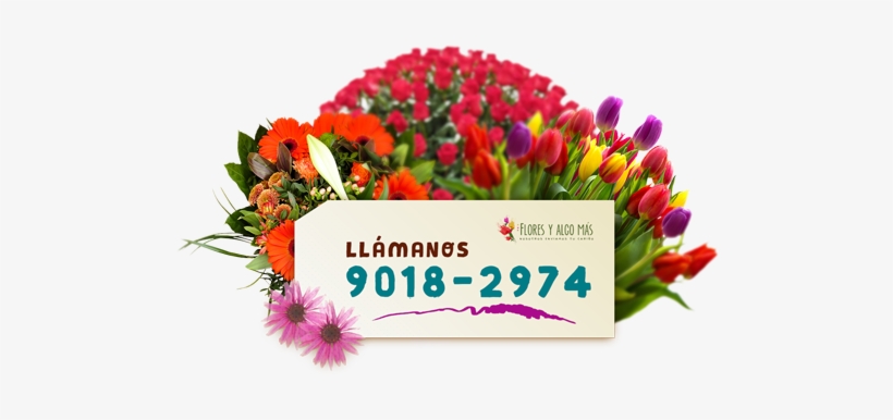 Todo Tipo De Arreglos Florales - Bouquet, transparent png