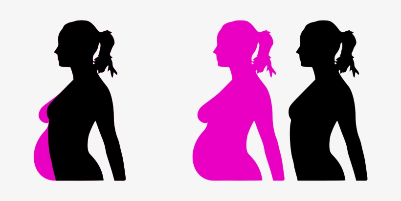 Can I Get Pregnant Right After My Period - Pregnant Clip Art, transparent png