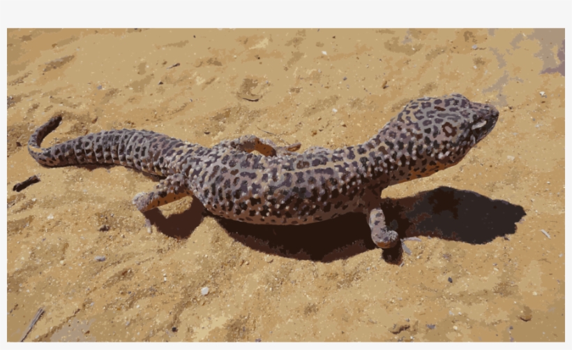 Blue Grey Leopard Gecko Clipart Lizard Reptile Common - Blue Grey Leopard Gecko, transparent png