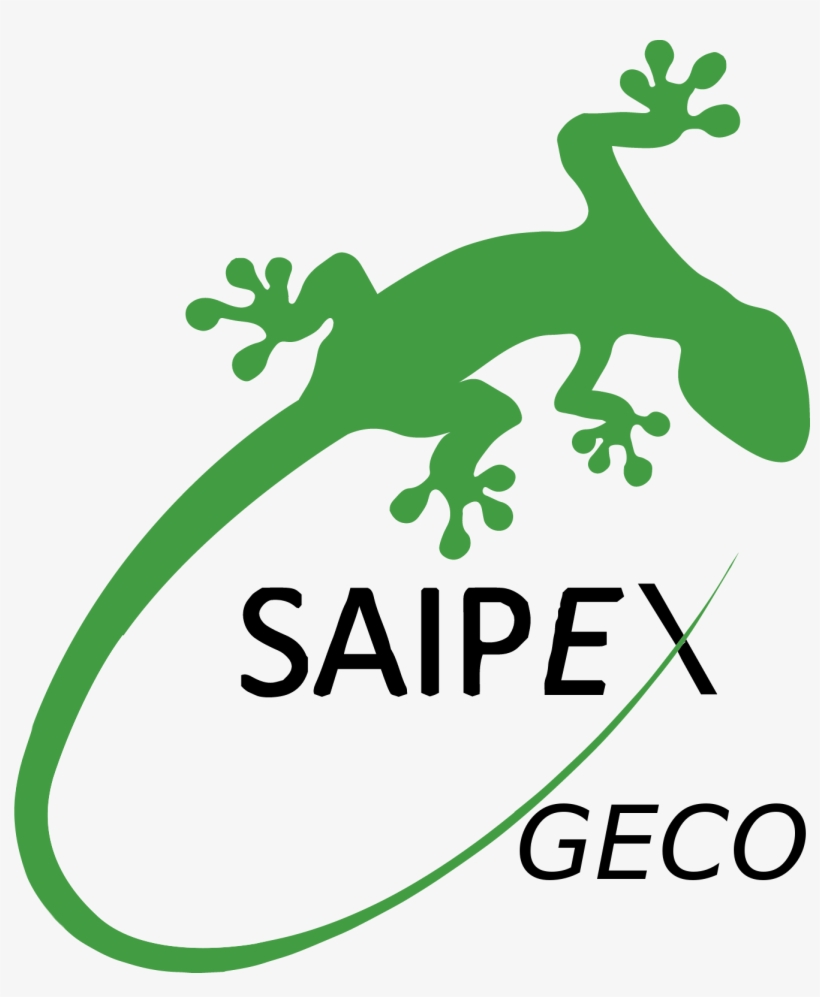 Green Gecko Lizard Vector Clipart Image - Marchand De Passées (le) - Mass Market, transparent png