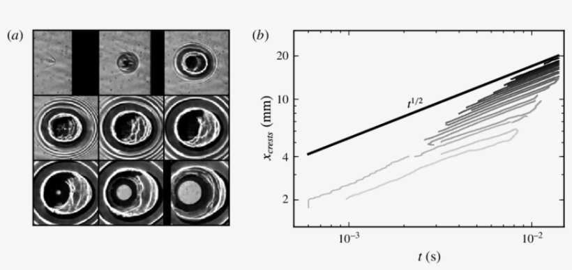 Wave Pattern (and Film Rupture) Generated By A Droplet - Circle, transparent png