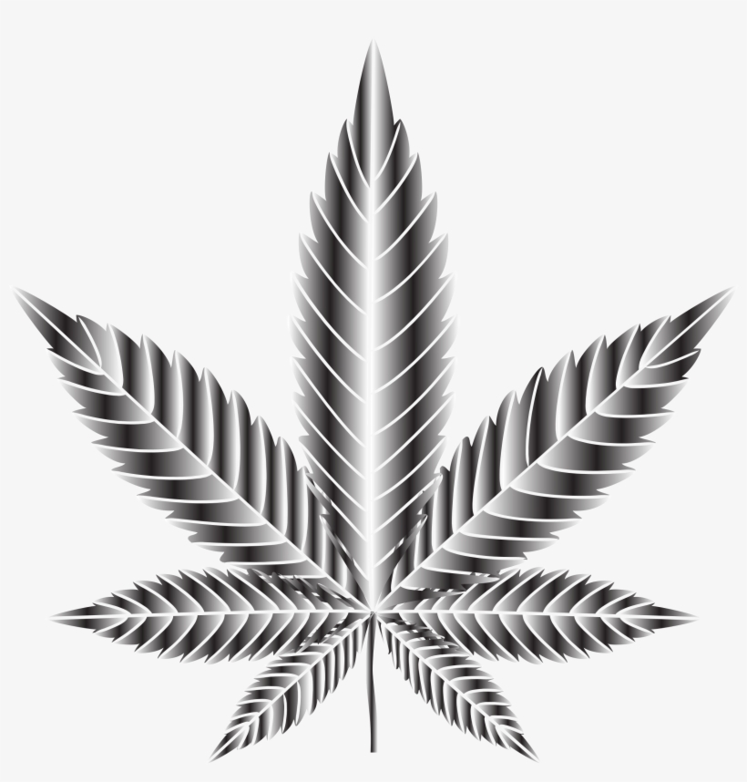 Big Image - Don T Smoke Weed Poster, transparent png
