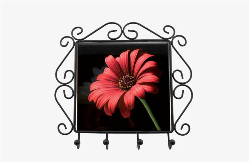 Wrought Iron Frame W/key Hooks - 21 Petals Flower, transparent png