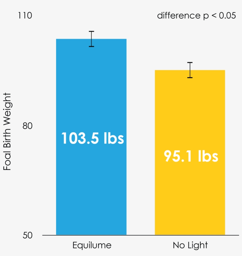 The Equilume Light Mask Improves Foal Birth Weights - Graphic Design, transparent png