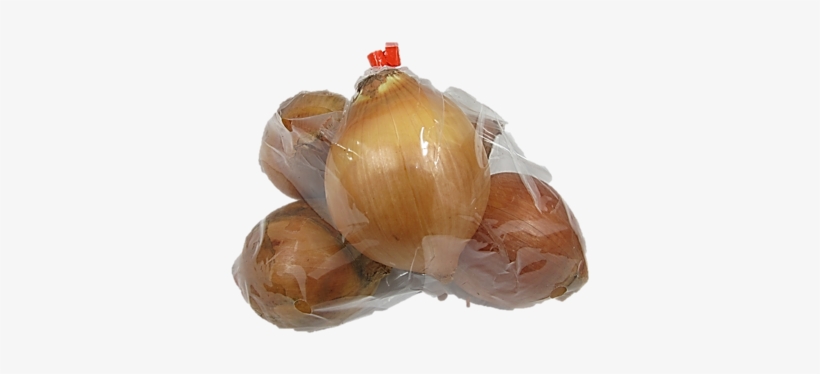 Yellow / White Onion ~1kg - Shallot, transparent png