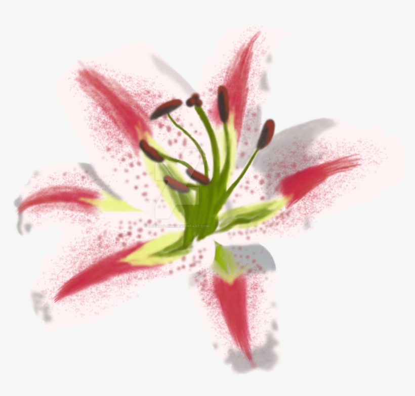 Transparent Stock Oriental Painting Practice By - Lily Painting Png, transparent png