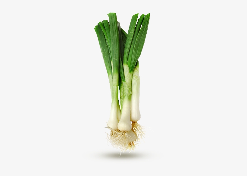 Spring Onion - Leek, transparent png